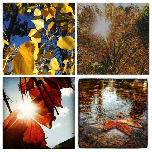 Cuatro escenas de otoño