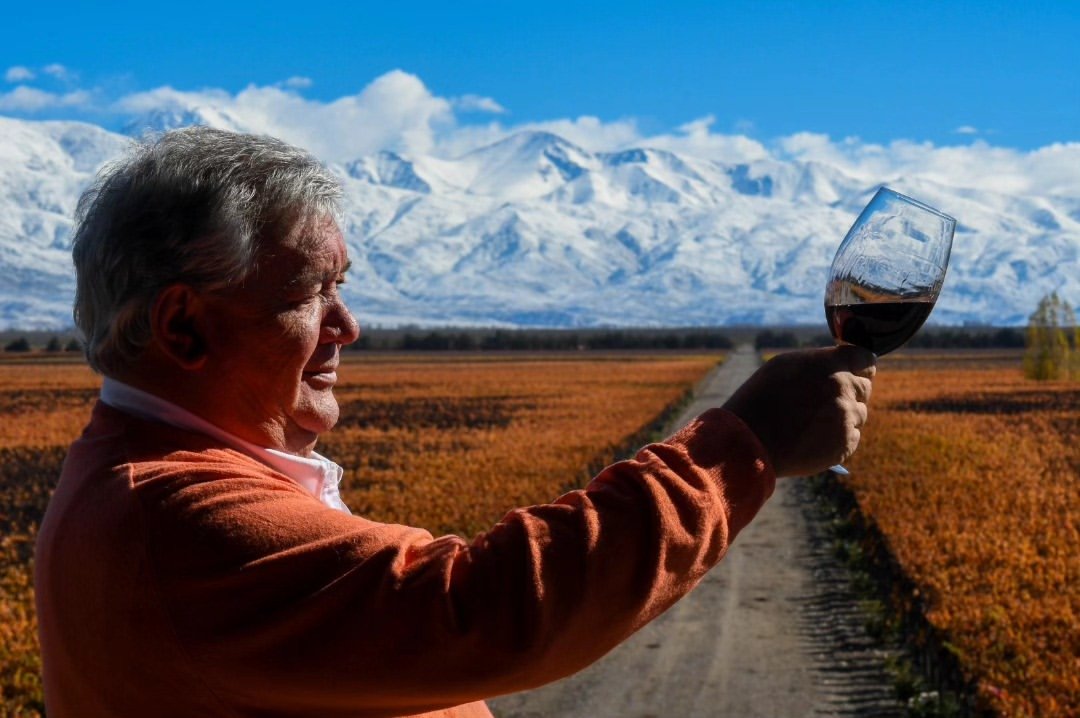 Hombre levantando una copa de malbec frente al viñedo