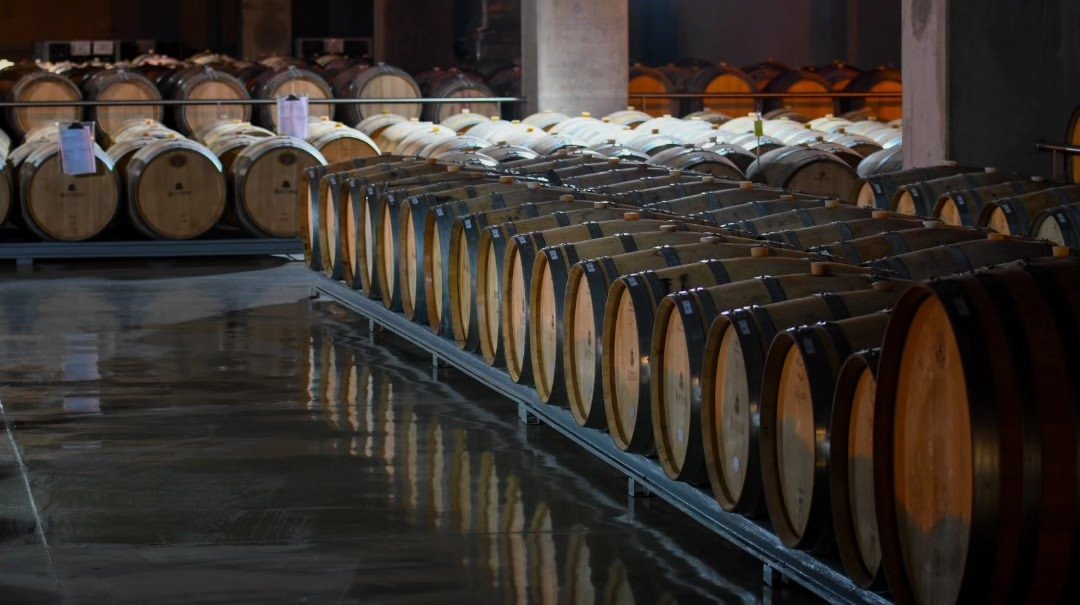 La cava con cientos de barricas